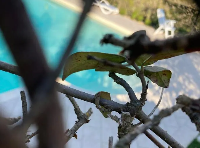 Il Vecchio Fienile *